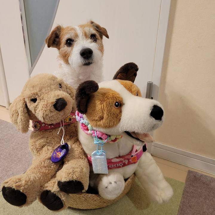 44ef7b14 15f6 4c9c 9323 1f773592001d 1742112360871