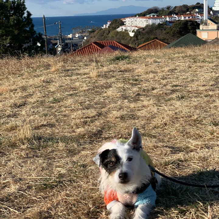 44ef8601 89fc 4894 9bb6 24b2530481ba 1740182303353