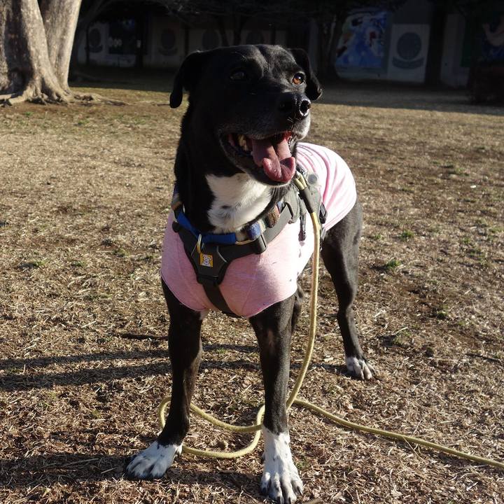 44ef8ee3 84b1 4972 aa6d d196d04ca389 1646182224890