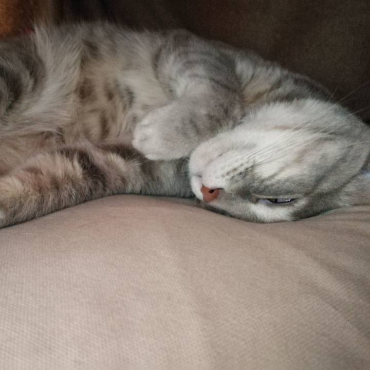 44ef8f94 4581 4783 9b6b 5854baf153a3 1523157623133