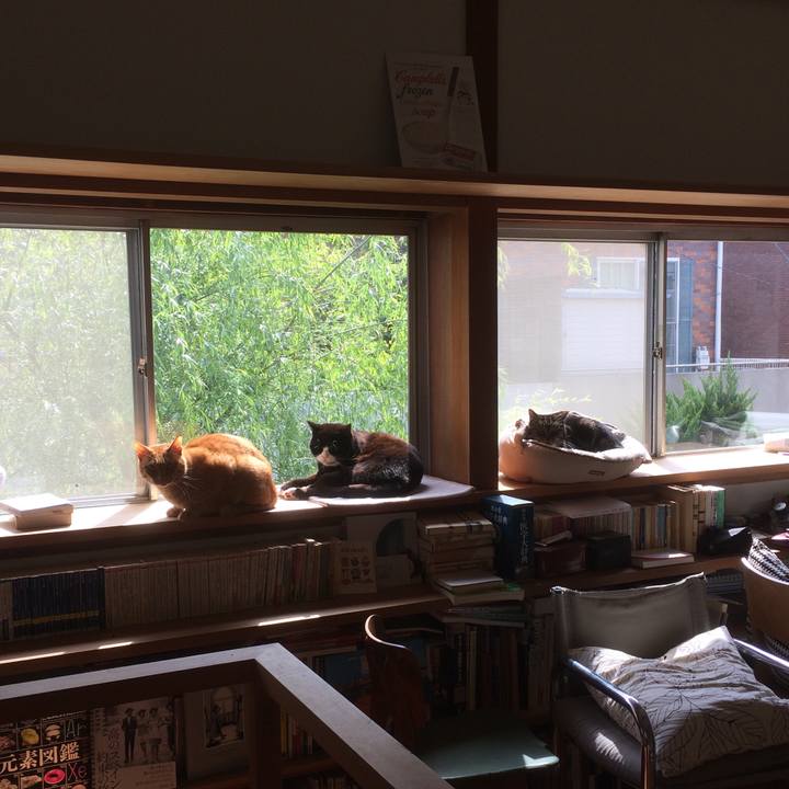 44ef9b7d 1dce 4d82 954e b879433d2905 1586612670743