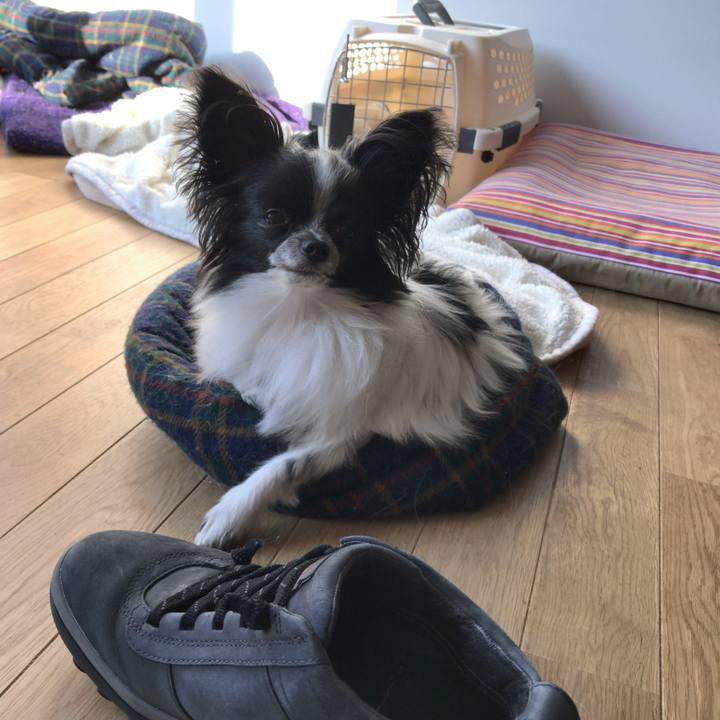 44ef9ebc d803 4cdf a2a6 d008e59412db 1509058657155