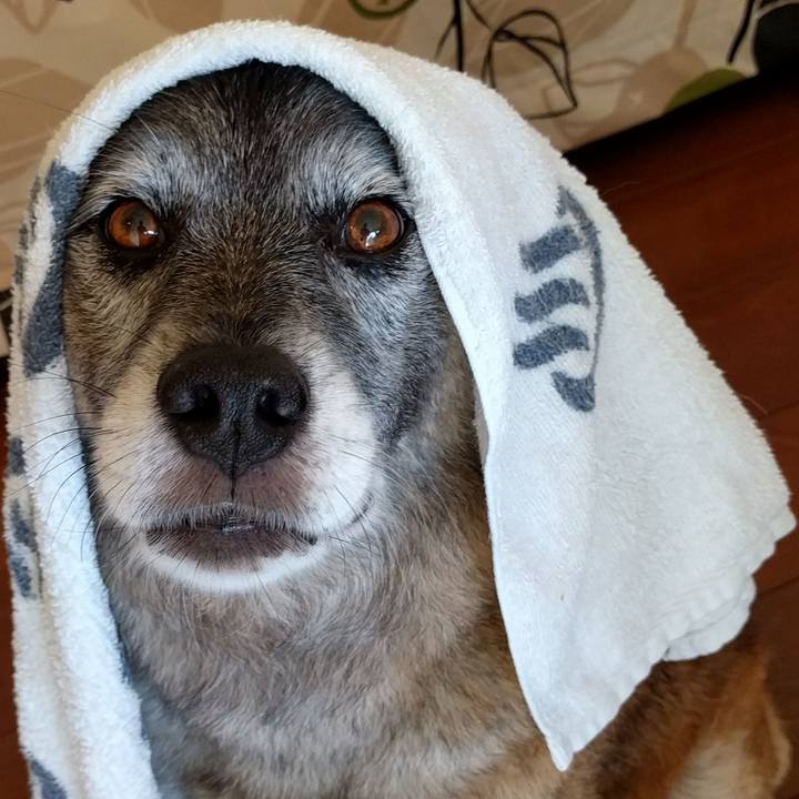 44efb463 8e8a 4b01 8ceb e8e770f02690 1749178852038