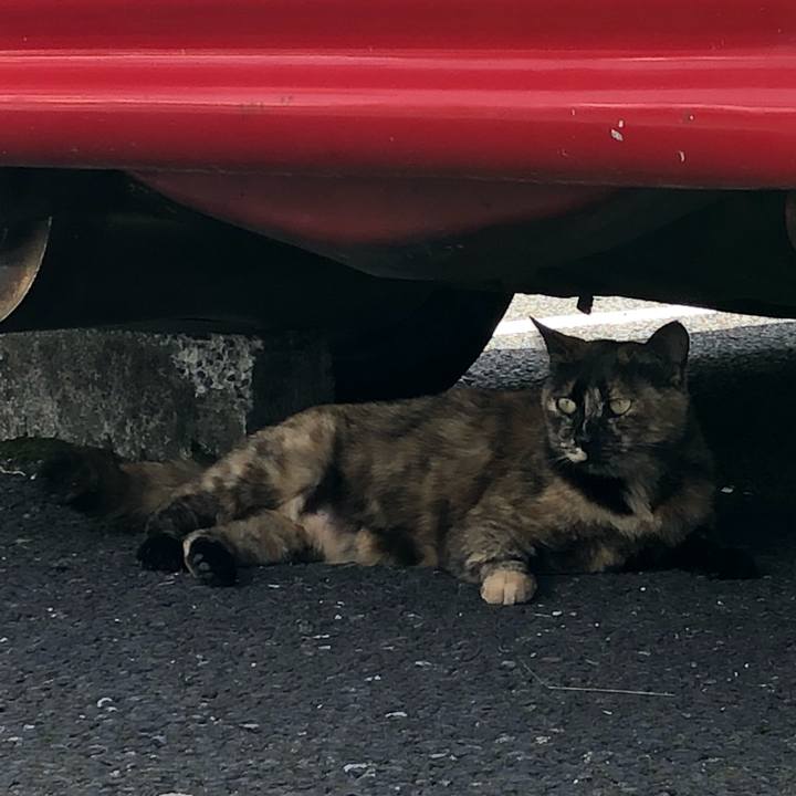 44efc2b3 32cc 4379 8023 387e15d78253 1526460604989