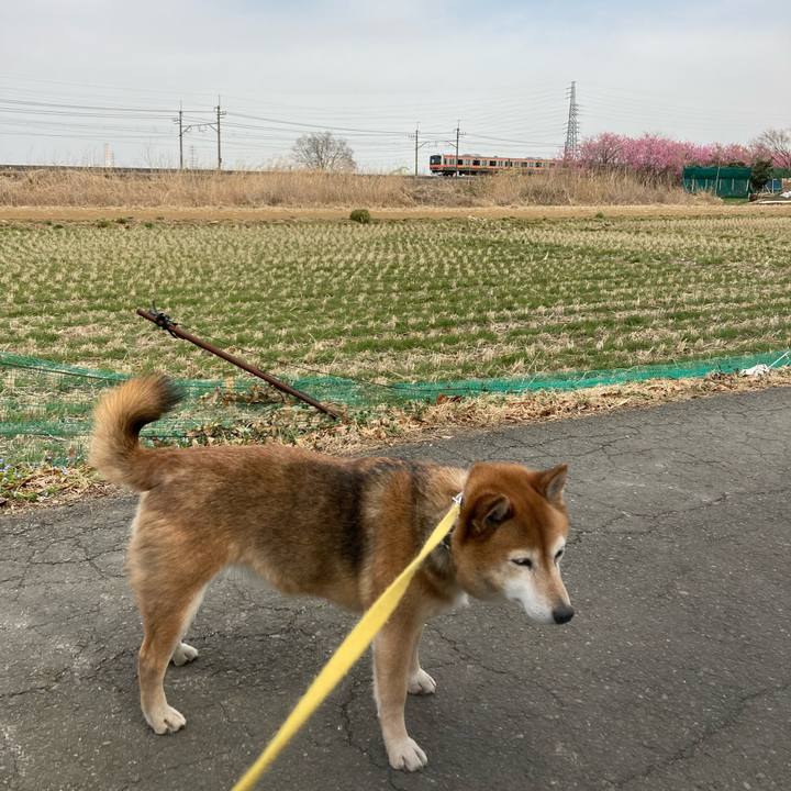 44f03386 02c6 4ff6 8b81 03d711316f16 1647487934203