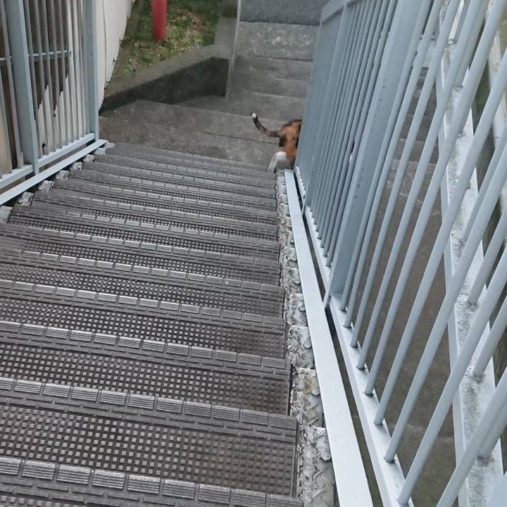 44f03a56 bb78 4fc6 9aea 68a0ef944b39 1580874448040