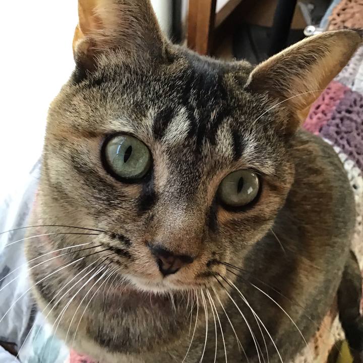 44f07c14 e7e3 4d1a 8bd7 0d1287870ceb 1609994813393