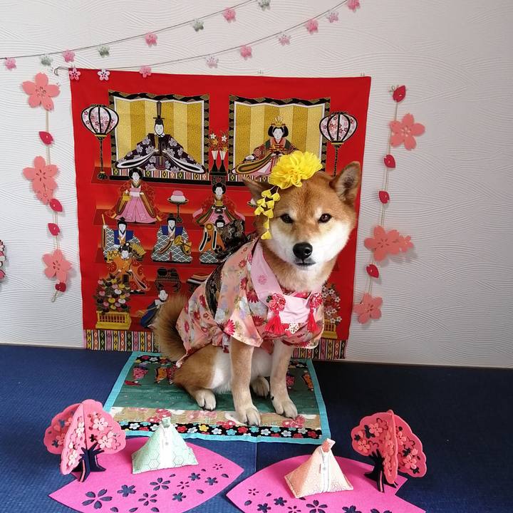 44f07d2d 07b6 444e a423 4aa05509d0a3 1583198838052