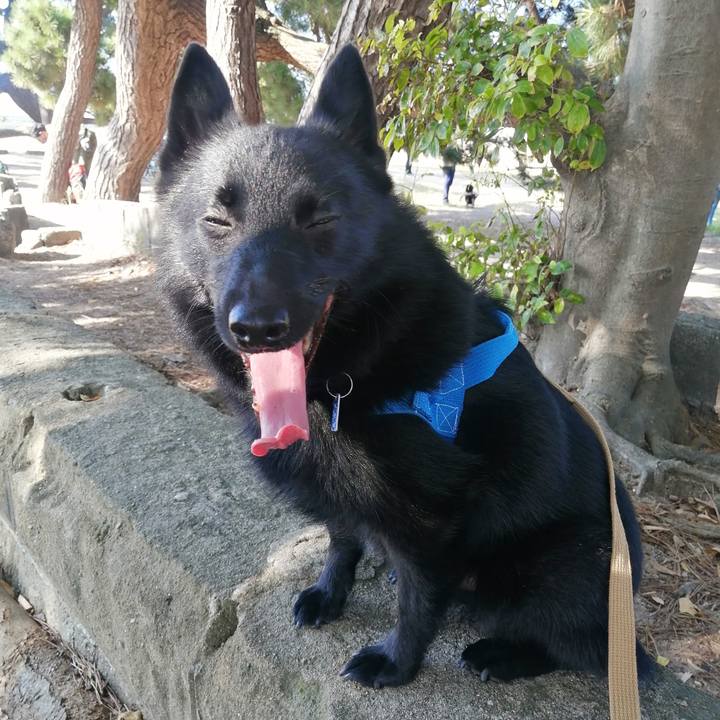 44f0fb9a 8f74 45aa 989e de055f4c61e7 1633219069953