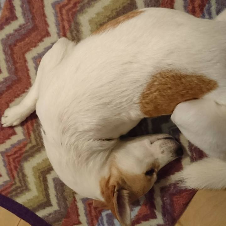 44f11cf8 ce60 4e07 9e01 fd3c15e1b54a 1519981665598