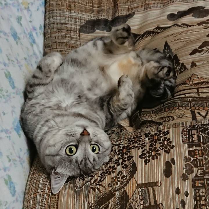 44f1645f ed5e 4d1b b1ce 5fde37b9bb52 1571671095627