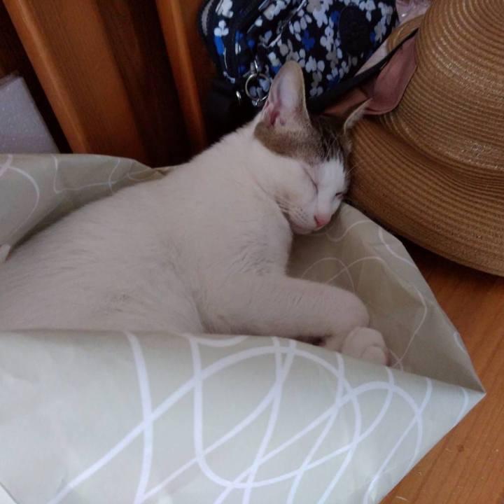 44f16b10 1574 418c b82b d3edd5843d28 1657506582691