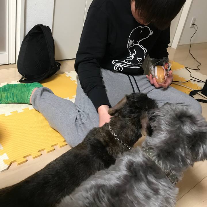 44f18b05 ba7c 4d1f 8f1d 74ccc93501b0 1514804390122