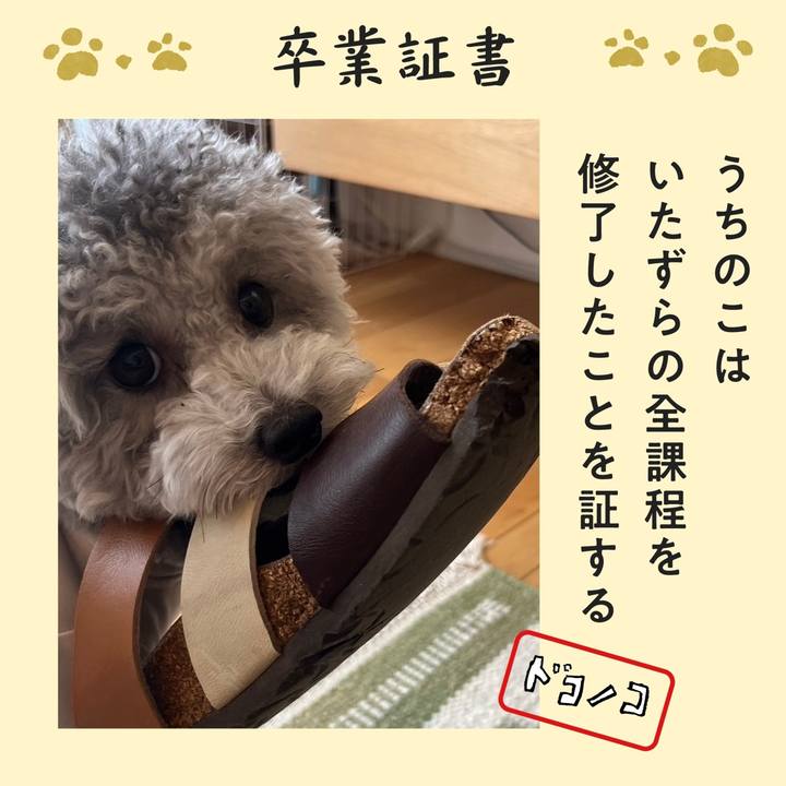 44f18f98 c1b6 4a63 86fc 46ab8a1b7d68 1771927240058