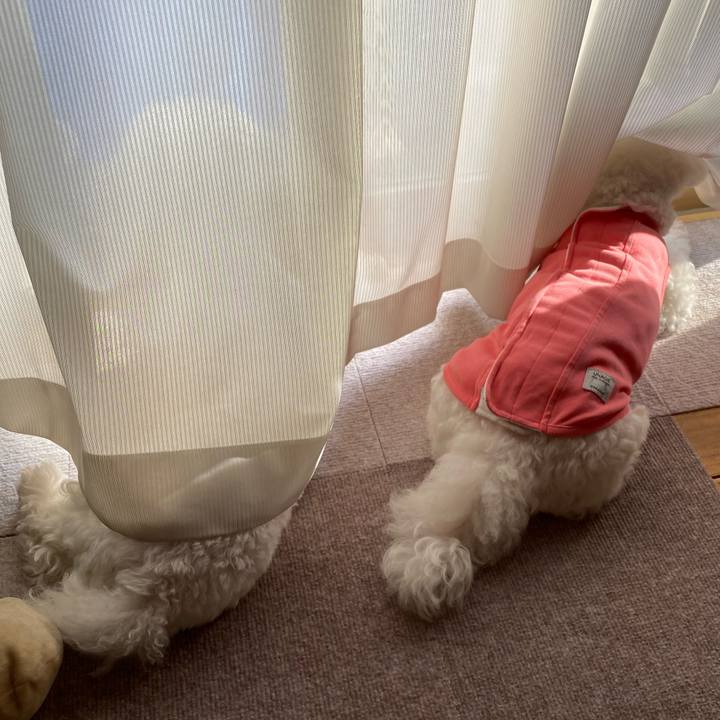 44f1ac48 30e1 442a 9ee7 37d93d3d833b 1762752779587