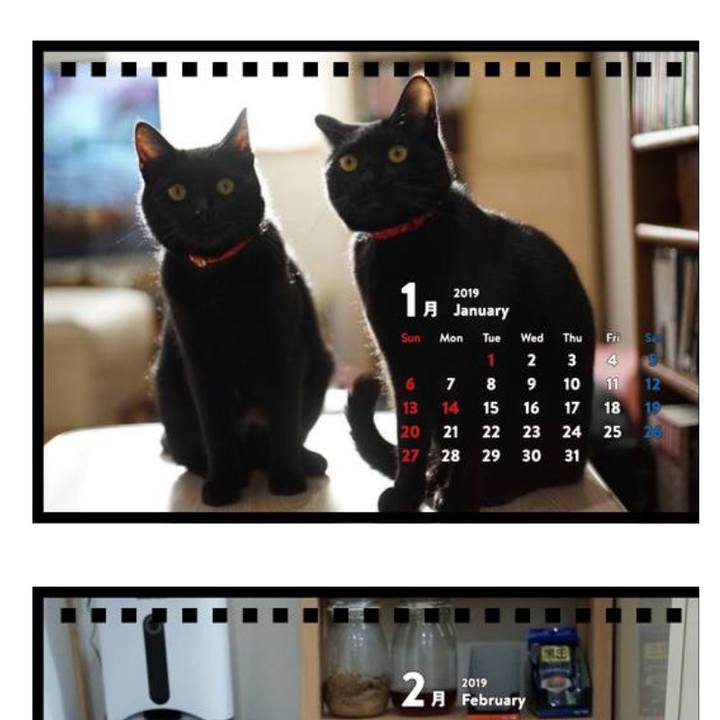 44f1b92b 6b05 491c af41 2e8d17e77372 1547004443741