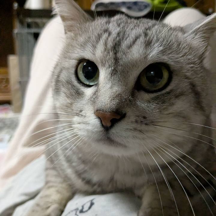 44f1be4c f4f0 4e32 b31d 5c21574323bb 1749657206191