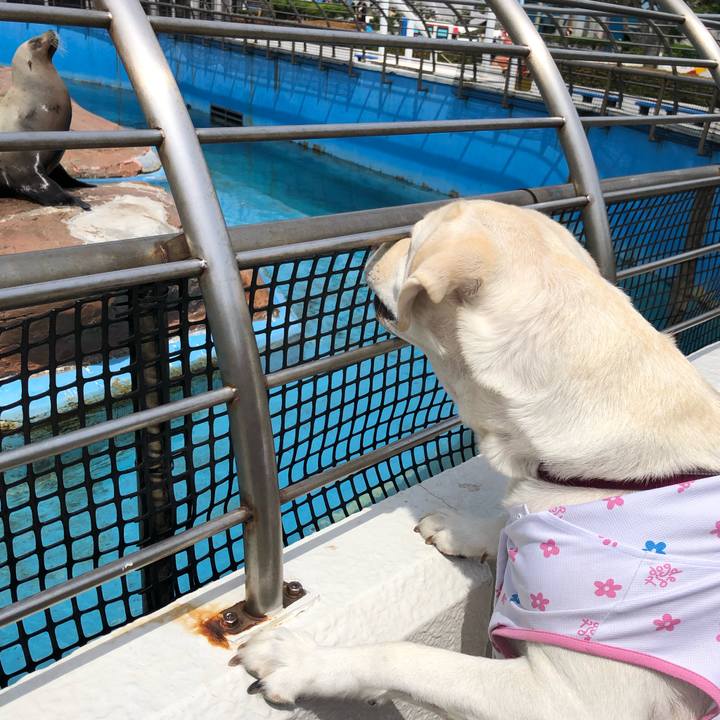 44f21b0e f6b6 4d2e 8c0d 122ea292626f 1622518719177