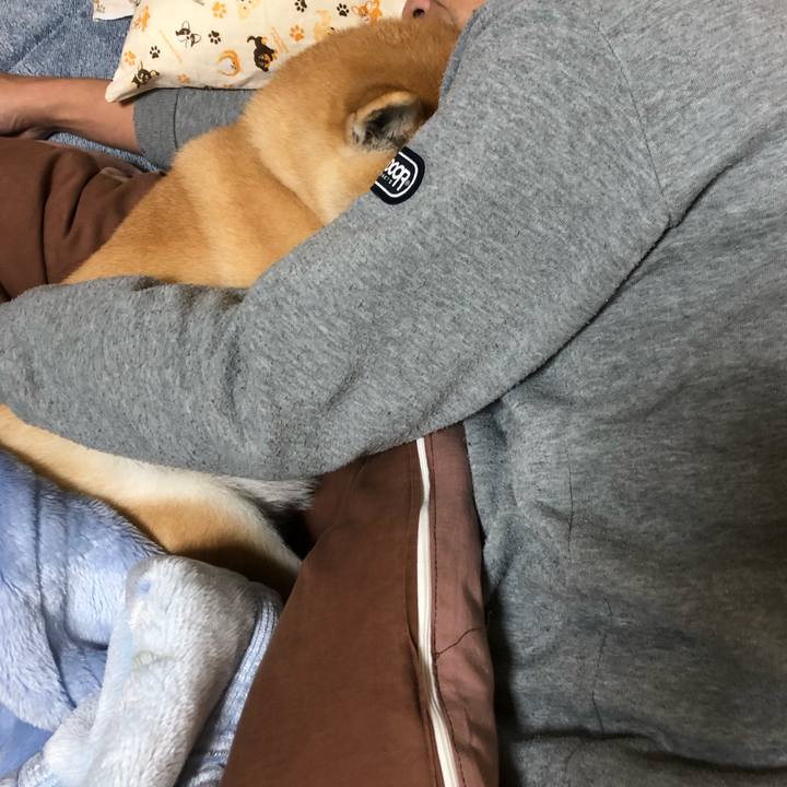 44f248b3 5cc9 485d ac22 01771f444e9a 1551050281312