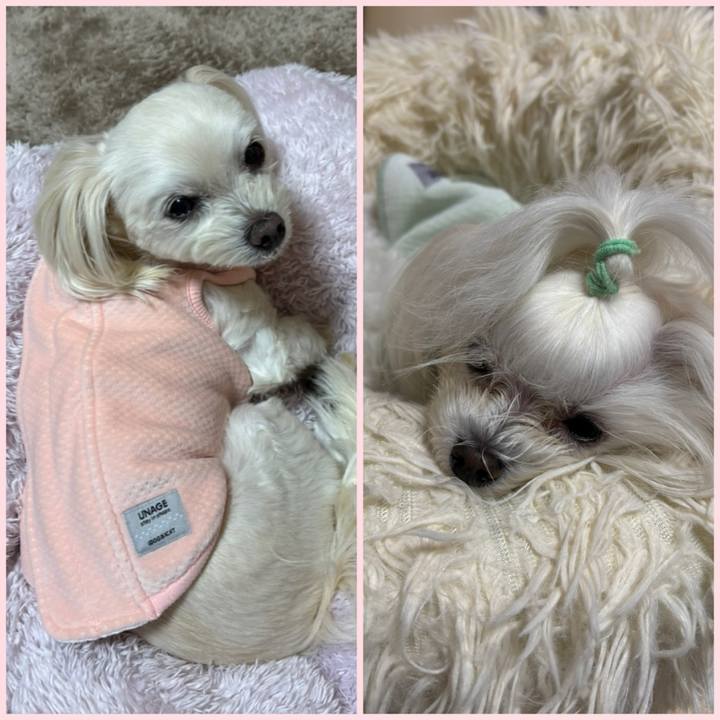 44f25d20 e97b 42f2 aee1 be92ed5de8e6 1768296354081