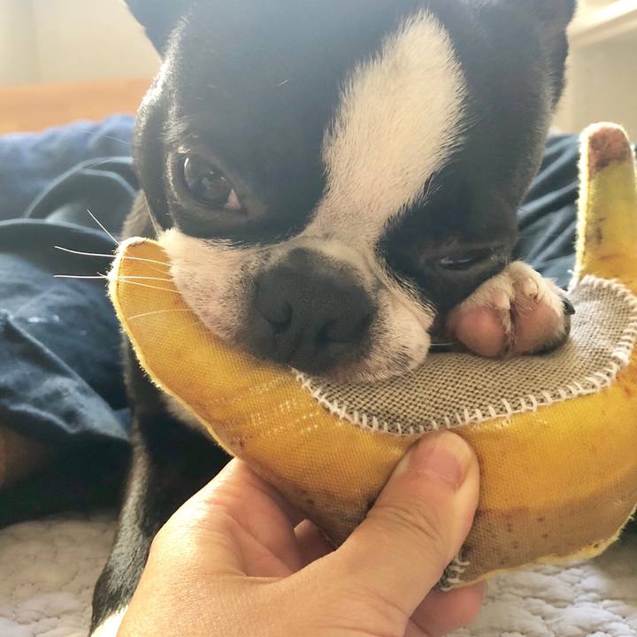 44f2cad5 a9c2 4b86 a8a7 fff974bb4585 1540172697126