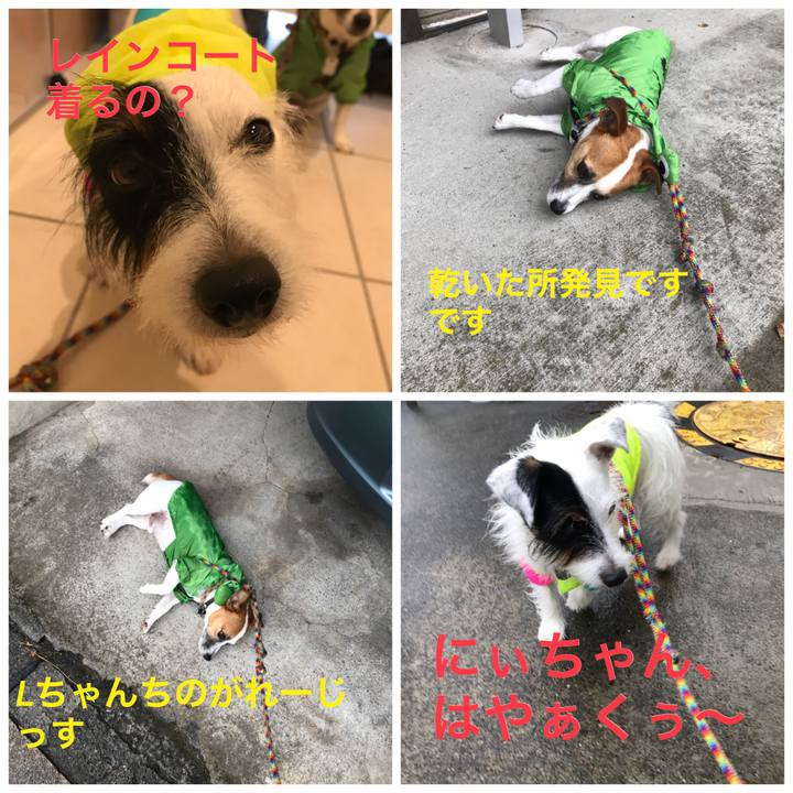 44f2ee7c c0eb 4ea1 bc2a bbbaec025636 1536889185949