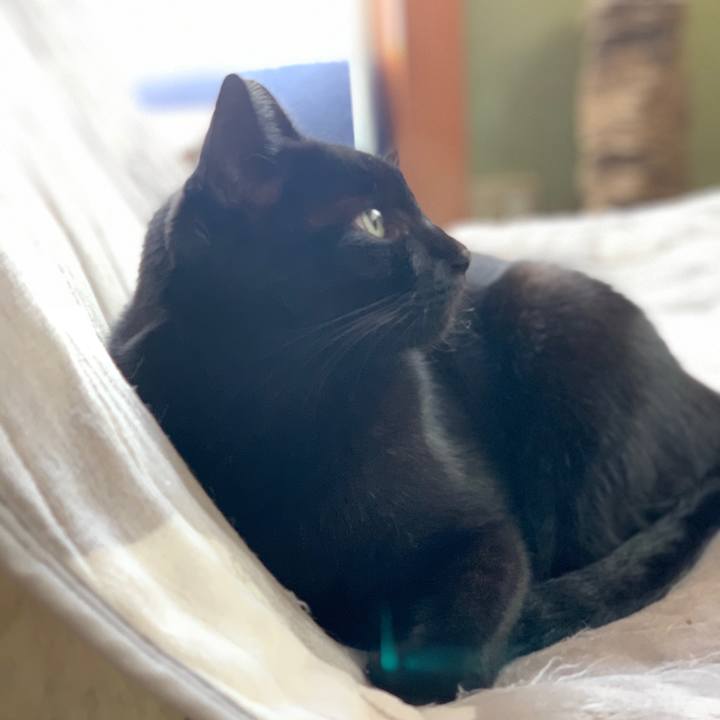 44f2f794 6aa8 4cf5 bc1c 723d500e83ac 1572914445348