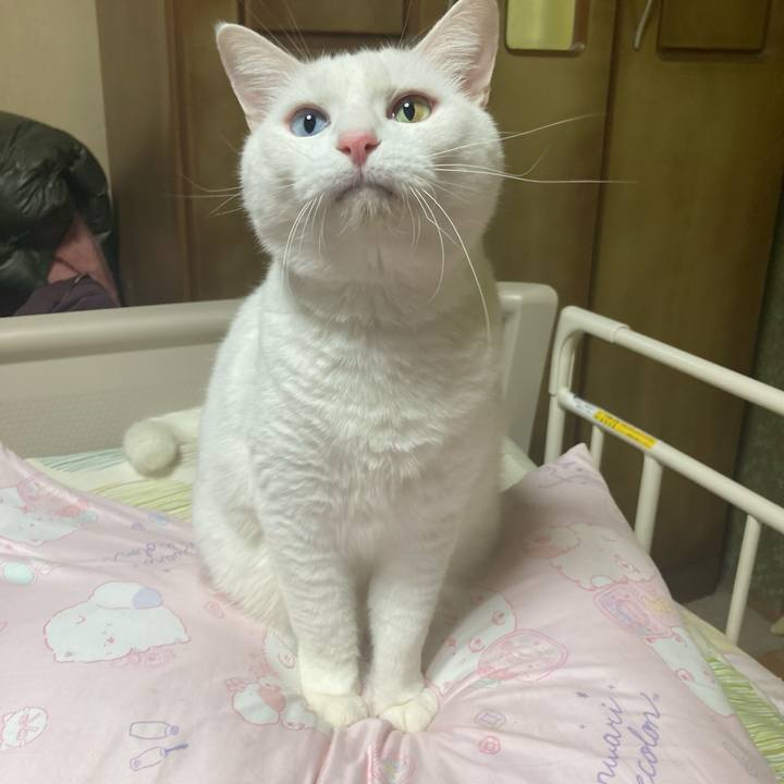 44f32b79 0198 4fb3 add9 d3f02e016254 1768208096138