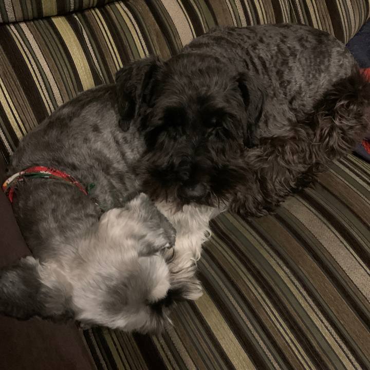 44f3793d 229e 4aaa 8cf5 2c3668c4ff0b 1607436906401