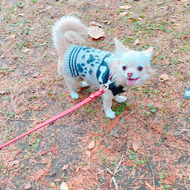 44f3c694 ff78 4ec1 b90f 2f8abb2723f2 1639299063620