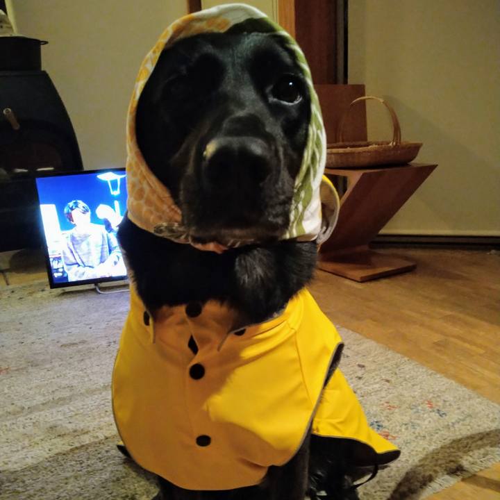 44f41a20 81e0 4bbb bab3 73716ff09aa2 1602248925433