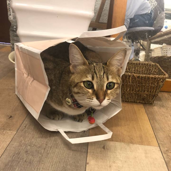 44f4276d d6da 4213 bf5d 29ba5a7021fc 1618274075207