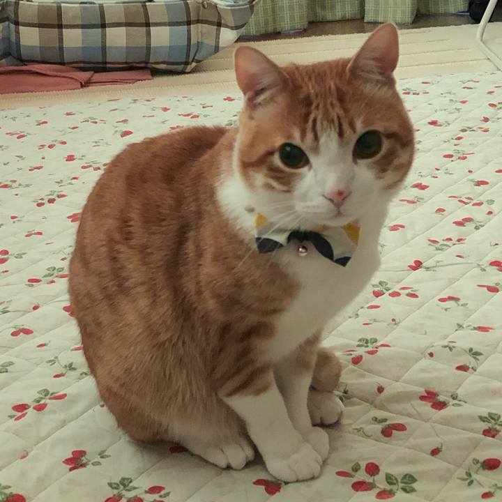 44f437c0 de06 4807 8961 5b15c81db2aa 1555557751671