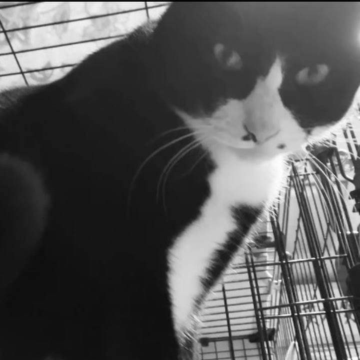 44f43a14 a6d3 4030 9505 2556424f0f0c 1743335814601