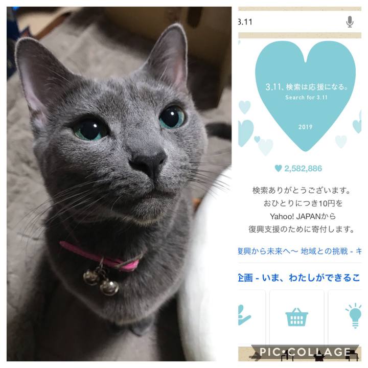 44f457c1 332d 4f4a 8564 c1183261cfc3 1552279898207