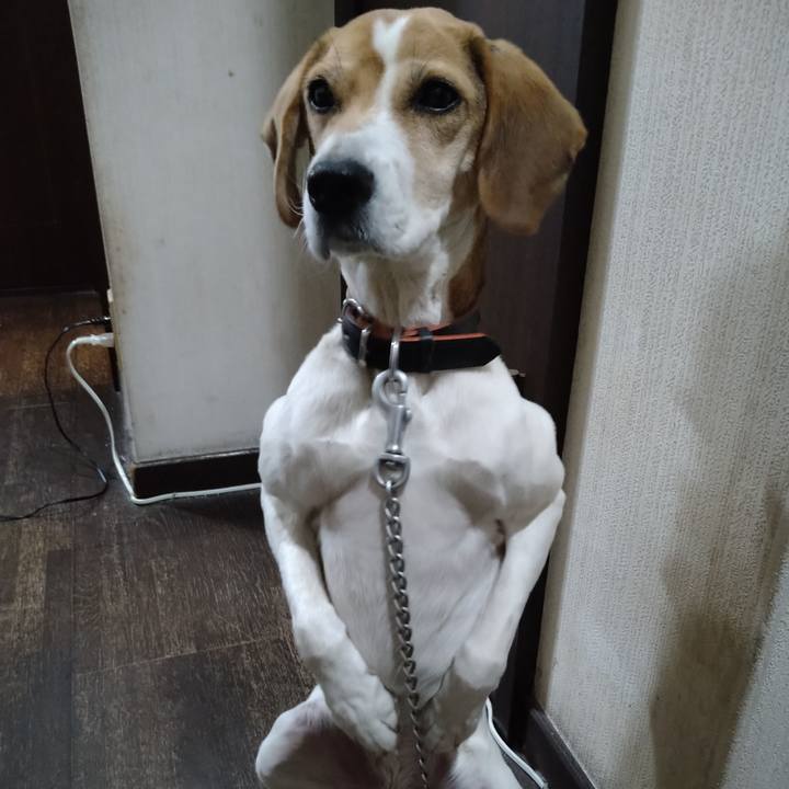 44f46176 b441 42f5 be61 9f7d5cc49f66 1642770697732