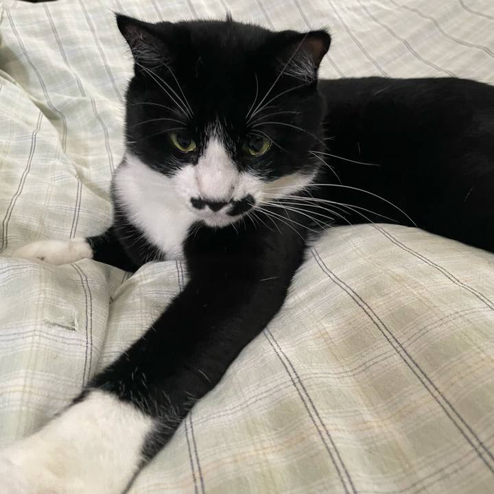 44f463ee ce7a 461b a8a9 08fa5c8d47b6 1662372235546