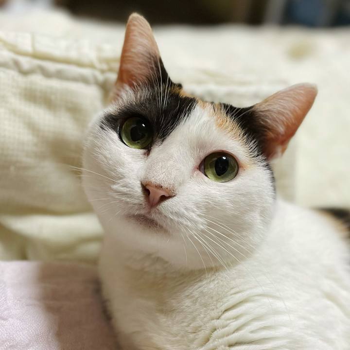 44f466c8 1600 4f3f 81cd 9c9db85e2094 1629164225380