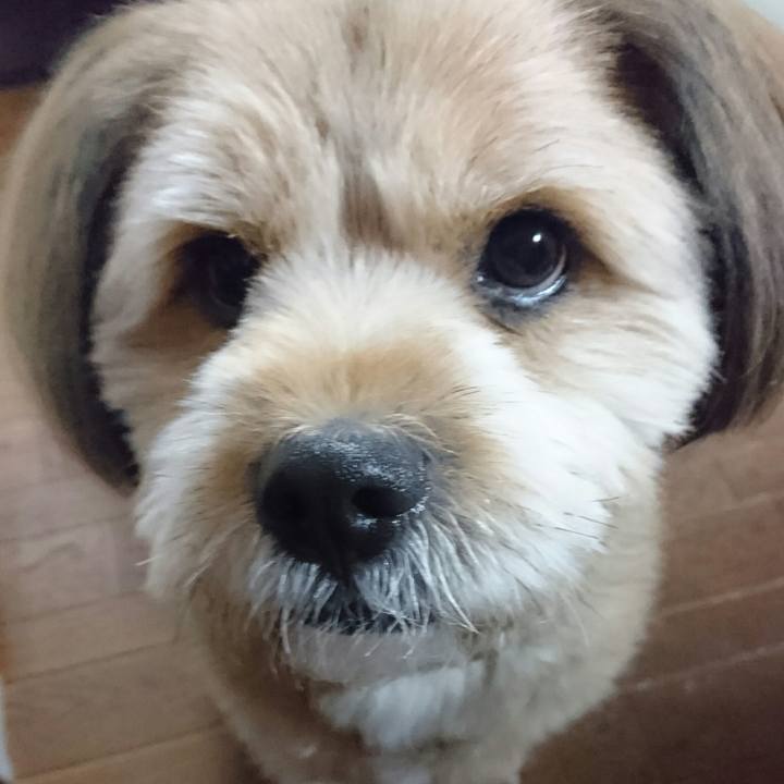 44f4711b 96d8 421d a0e3 906ba6ef7348 1512480098547