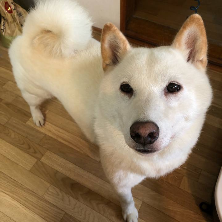 44f4779d 777b 491d 9b3d 56a5cdbe9900 1596839270885