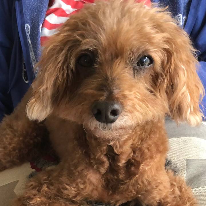 44f4b353 6011 486d b598 f49b93efd383 1593381579208