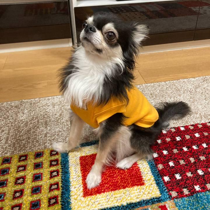 44f4b7be d0f7 4f06 af52 006c608f74ff 1679842647873