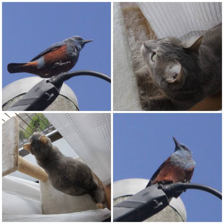 44f4c811 5b33 429e 92c7 5e62d76643c3 1586060043960