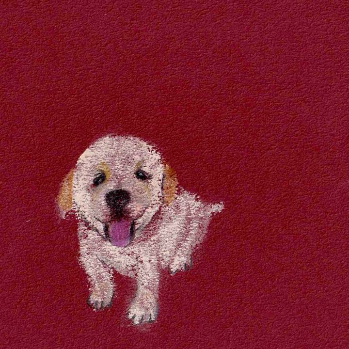 44f4cdbd 69f7 49f0 9b2f 0f027036d5eb 1626820862849