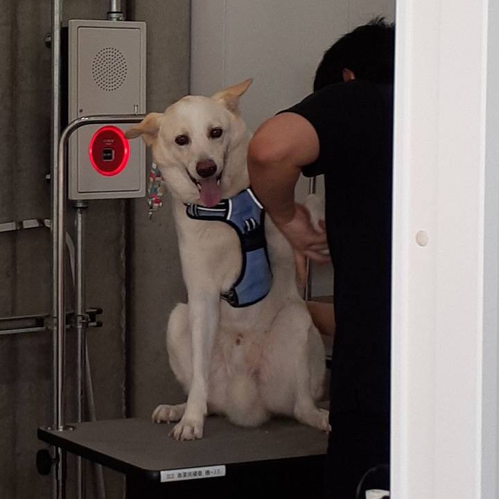 44f4e544 01d4 4274 94ae 32e30e712249 1679191454619