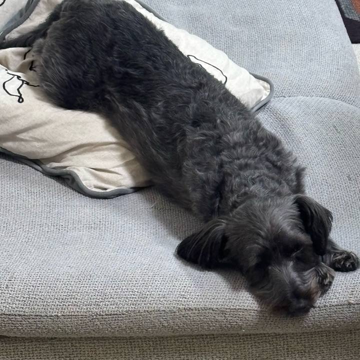 44f4e7ef ea1f 47e7 bfa4 07391702c25d 1756901518143