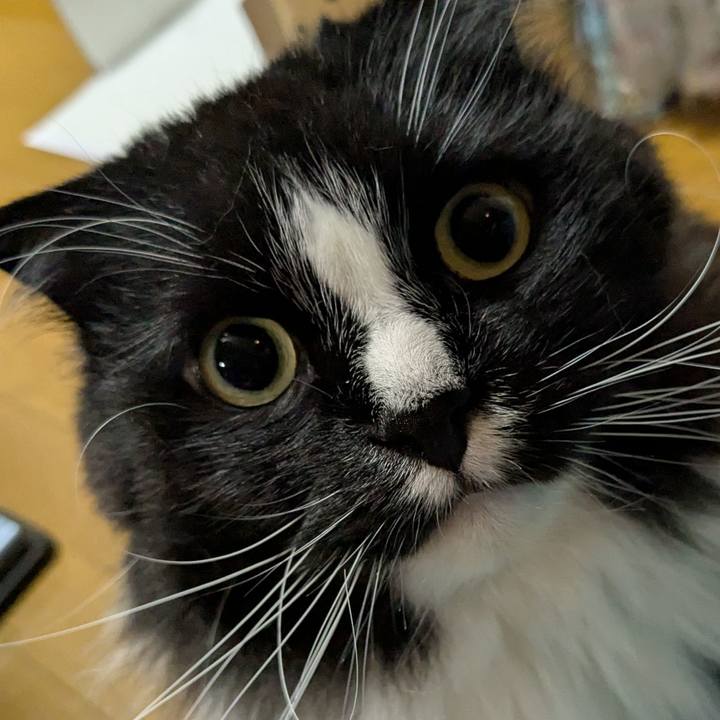 44f4fe3c 3e79 454e 828c 21e9009fd7c5 1745529035279