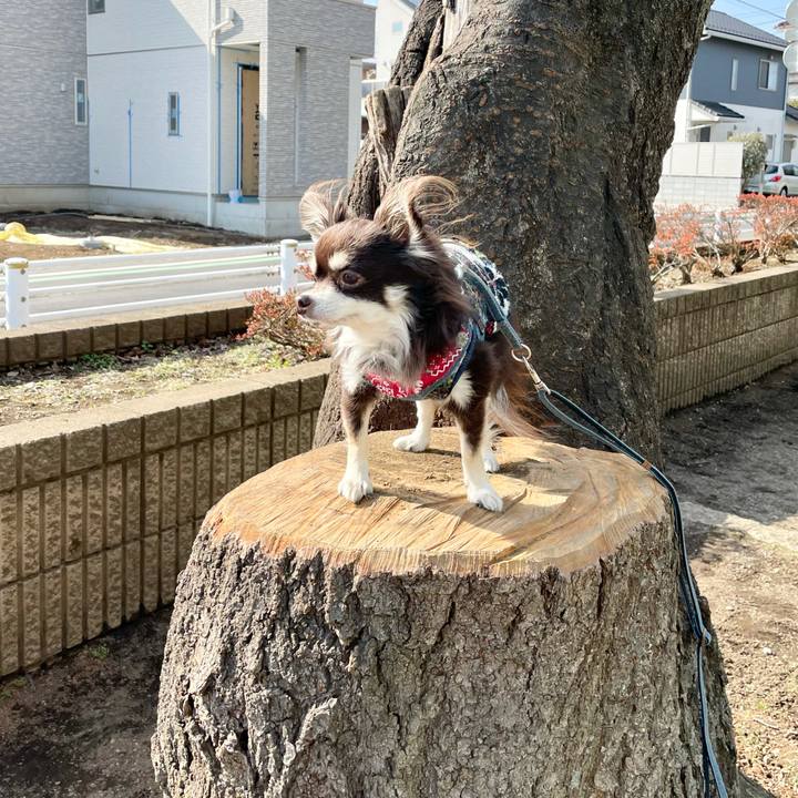 44f50472 ac27 4079 ba47 0871d0faa011 1612161913560