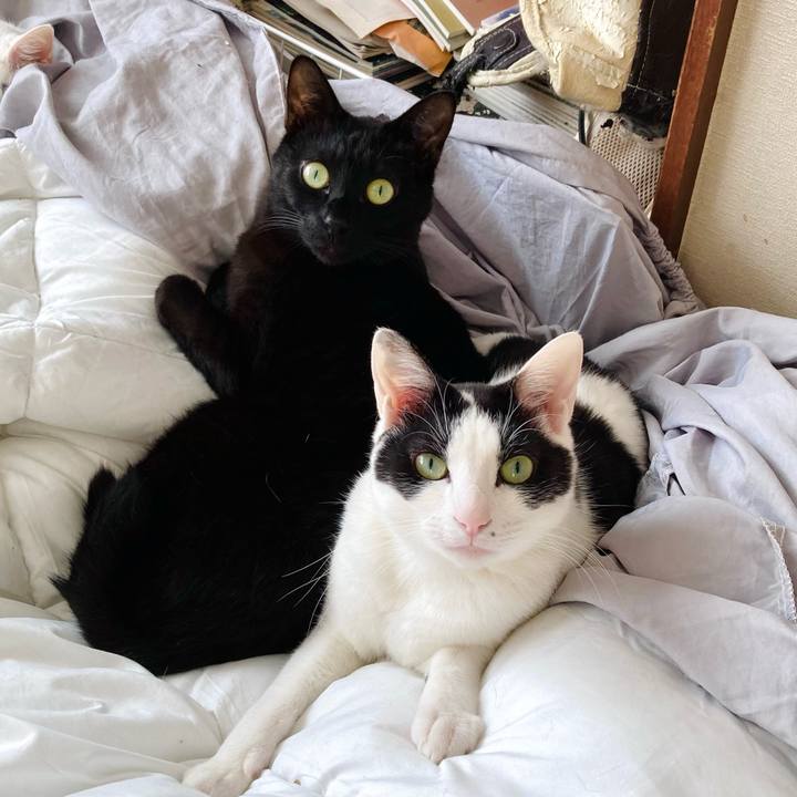 44f53d8a 345c 4783 97b1 76fe51075b5d 1706595203513