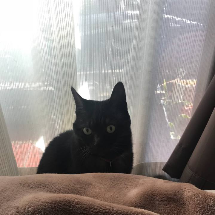 44f57996 aa45 4351 aa0c 95b78c341c37 1519708599264